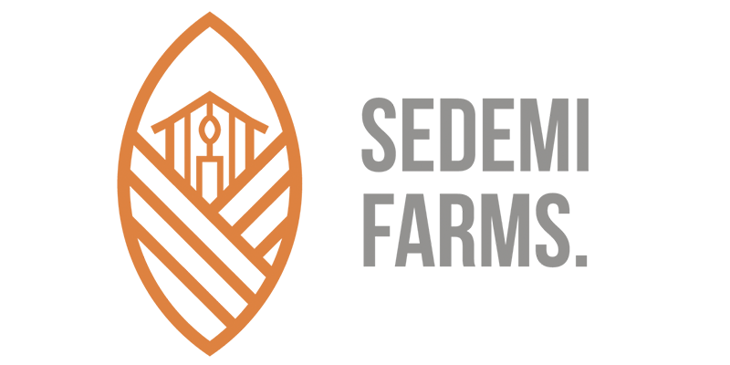 sedemi logo1